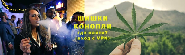 шишки Балахна