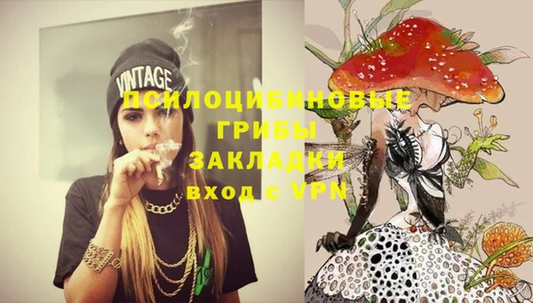 PSILOCYBIN Баксан