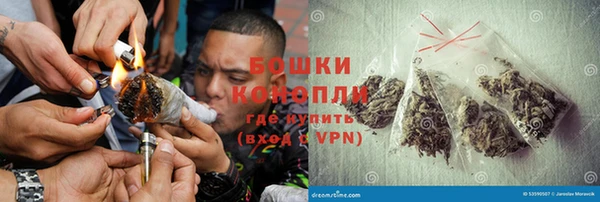 PSILOCYBIN Баксан