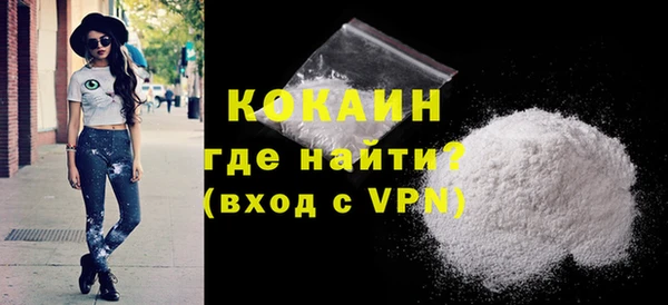 шишки Балахна