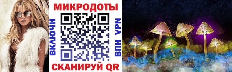 Псилоцибиновые грибы Psilocybe  Называевск 